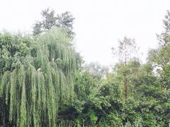 -济南大明湖景区