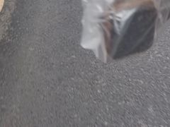 -郭记原生态烤羊腿(长宁路店)