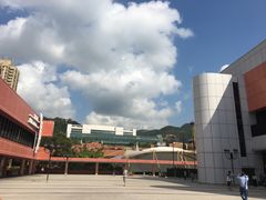 -美心皇宫(沙田大会堂店)
