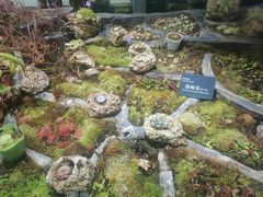 -国家植物园南园