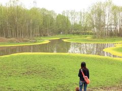 -桤木河湿地公园