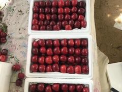 -新影联鸿泰影城