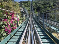 -芽庄珍珠岛游乐园