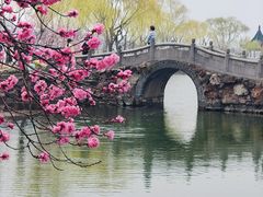 -无锡蠡湖国家湿地公园-蠡园