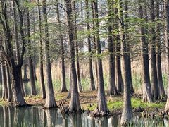 -白塘生态植物园