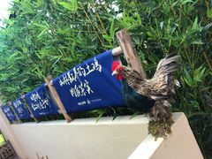 -洞庭土菜馆(天河北总店)