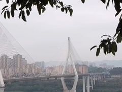 -大渡口区义渡公园