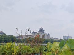 -莲花池公园