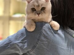 -乐宠宠物店(世纪金源店)