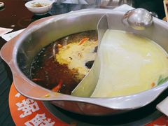 -红菇坊鲜汤火锅(北站店)