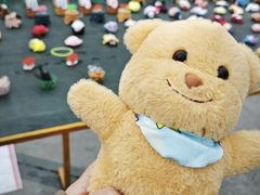 -国色天乡三期陆地乐园