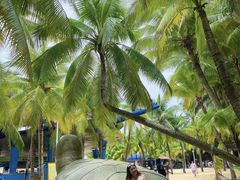 -海南分界洲岛旅游区