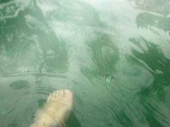 -咸宁万豪温泉谷度假区