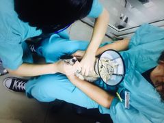 北京康乐宝动物医院-康乐宝动物医院