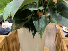 -闫府私房菜·百年鲁菜(恒隆店)