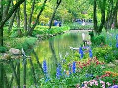 -上海共青森林公园