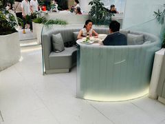 -大树餐厅(朝阳大悦城店)