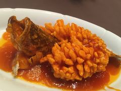 -新乾隆酒楼(帝景园店)