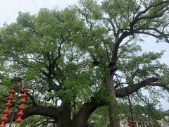 -新安江山水画廊风景区