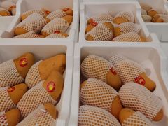 -鲜力达果品批发直销(无锡保利香槟店)