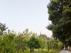 -北极寺公园