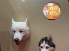-和它·交个朋友·狗咖猫咖(爱琴海店)