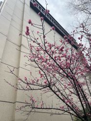 -重庆安琪儿妇产医院-妇幼保健联盟医院
