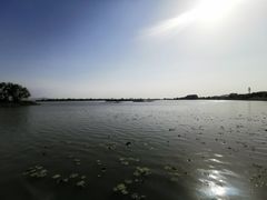 -苏州太湖湖滨国家湿地公园
