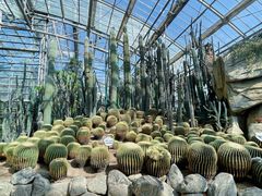 -南山植物园