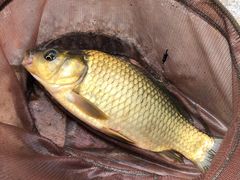 -酷鱼垂钓CLUB(朝阳区博大路店 )