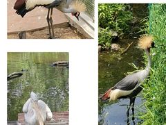 -济南野生动物世界