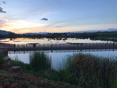 -异龙湖万亩荷花园