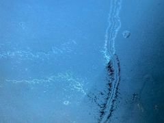 -庐山天沐温泉度假村