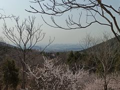 -北京十三陵国家森林公园蟒山景区