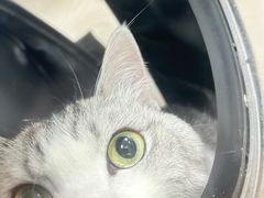 -美美宠物诊疗中心·异宠·骨科(滨江东信分院)