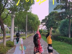 -苏州艺都古玩花鸟市场