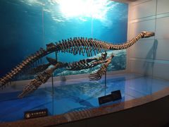 -自贡恐龙博物馆