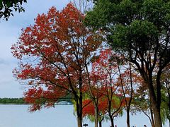 -上海月湖雕塑公园