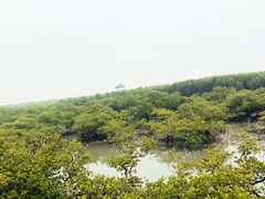 -北海金海湾红树林生态旅游区