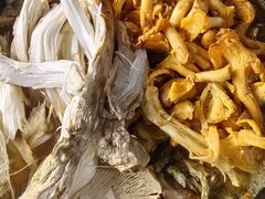 -菌粹源野生菌(木水花市场店)