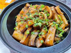 -东鸽皇(奥园·中环广场店)