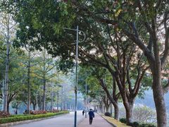-风云岭森林公园