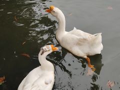-厦门园林博览苑