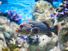 -福州罗源湾海洋世界旅游区