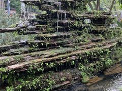 -凤来栖·净庭院·火锅(欧尚店)