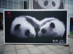 门面-成都大熊猫繁育研究基地