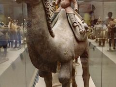 -西安大唐西市博物馆