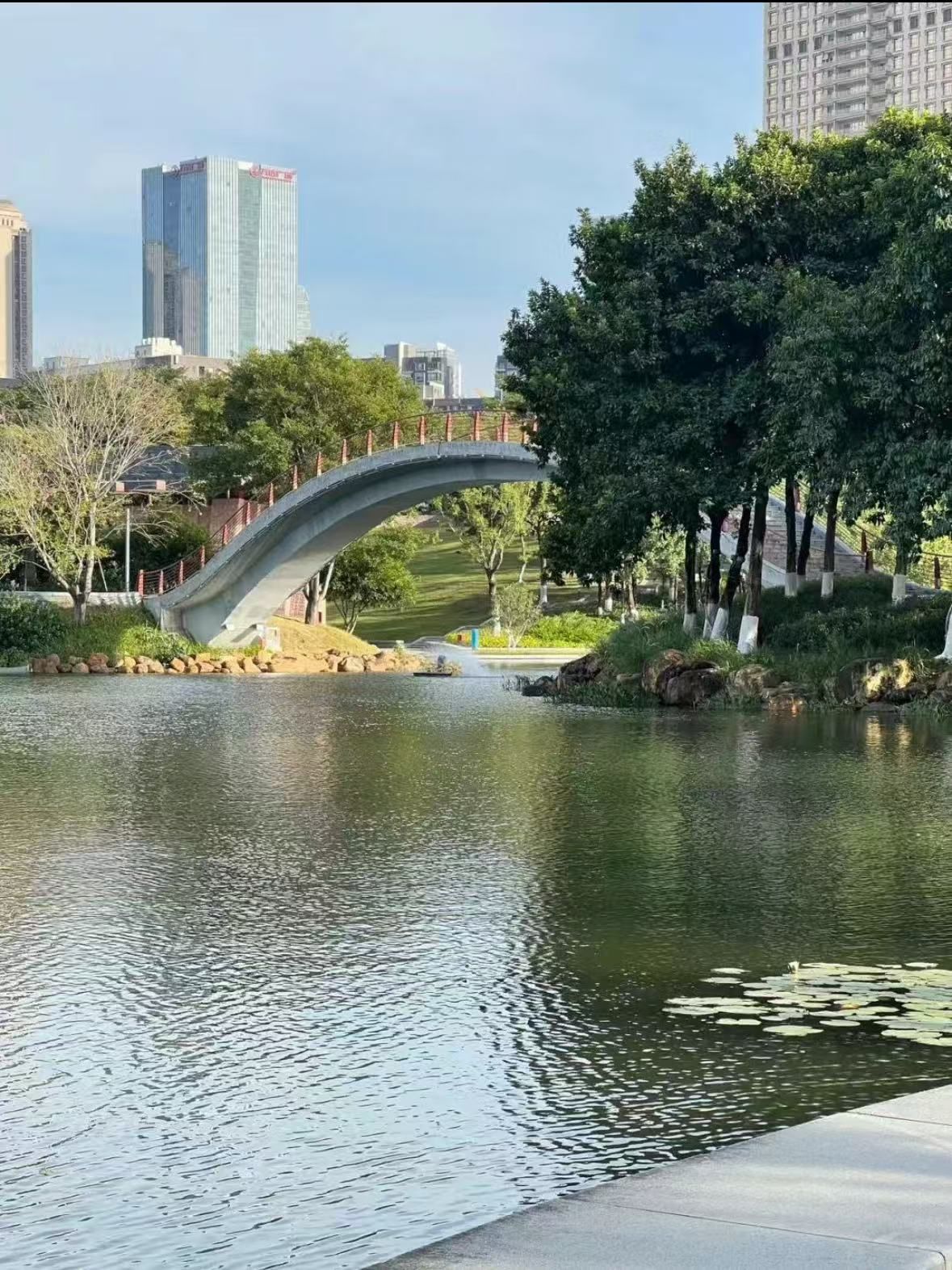 桂城最大最好环境的千灯湖公园