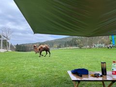 -武陵山森林公园