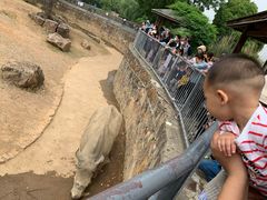 -无锡动物园·太湖欢乐园